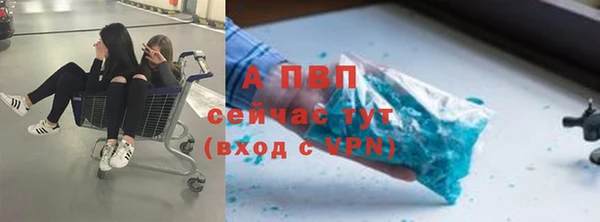 эйфоретик Богданович