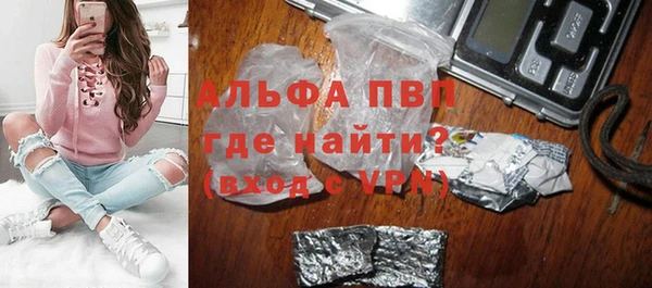 эйфоретик Богданович