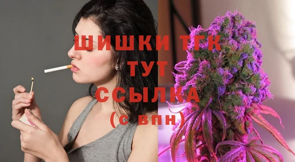 эйфоретик Богданович