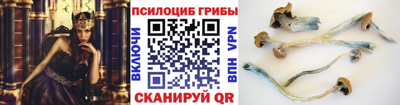 купить наркотики сайты  Нижневартовск  Псилоцибиновые грибы MAGIC MUSHROOMS 